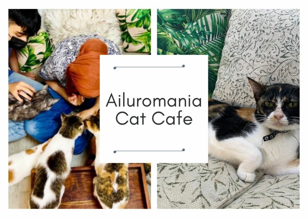 Ailuromania Cat Cafe