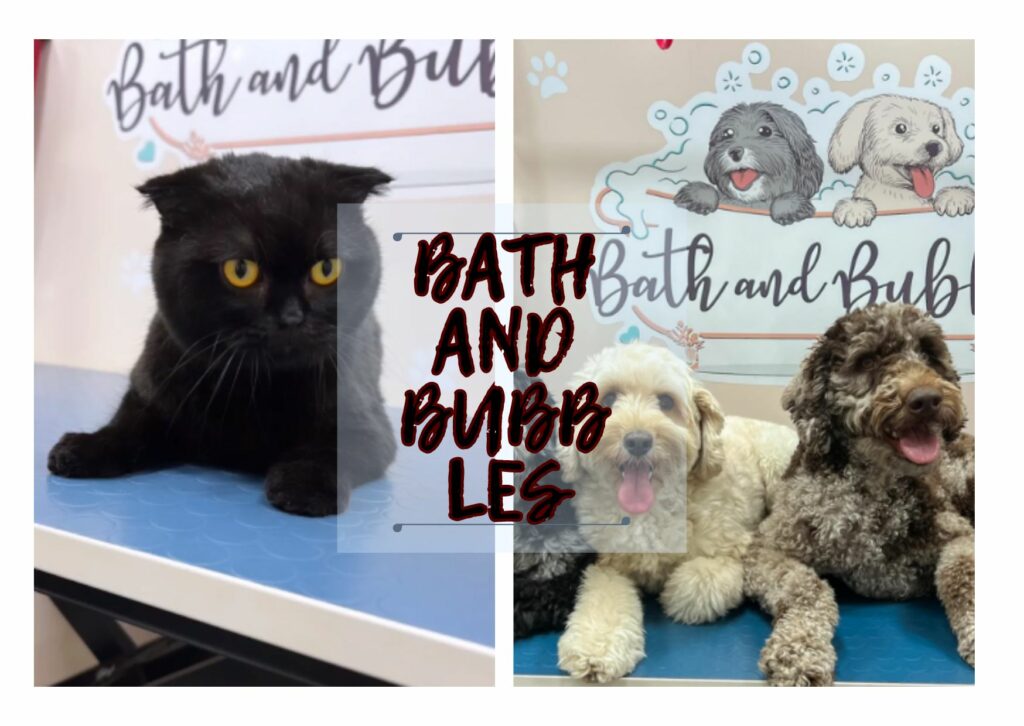 Bath and Bubbles Pet Grooming