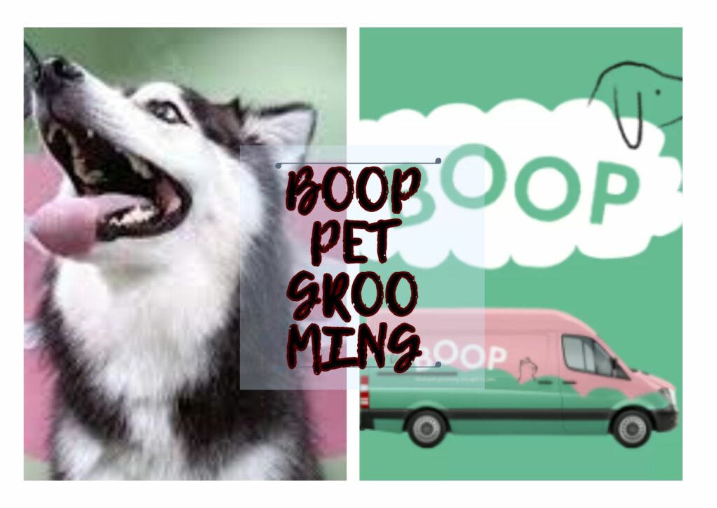Boop Pet Grooming