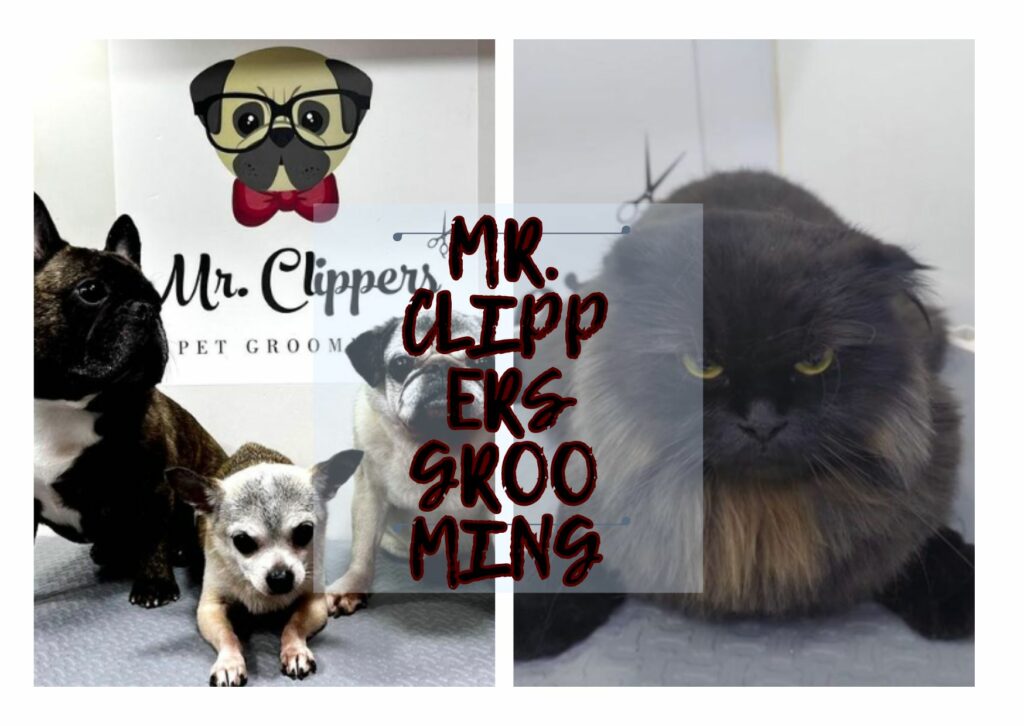 Mr. Clippers Pet Grooming