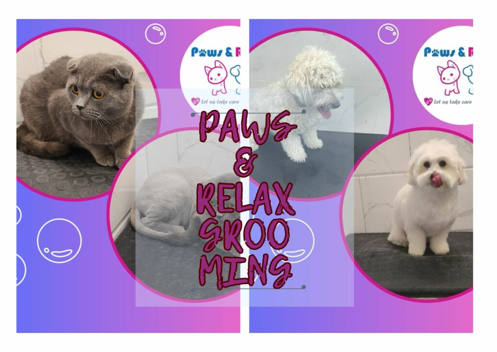 Paws & Relax Pet Grooming