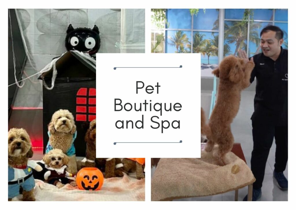 Pet Boutique and Spa