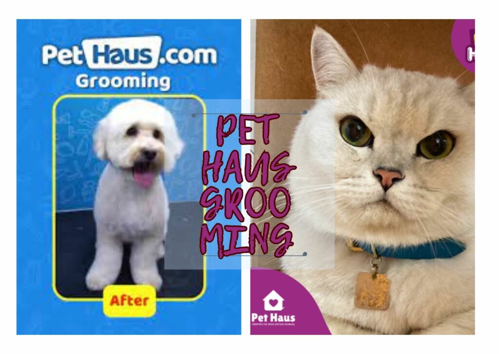 Pet Haus Grooming