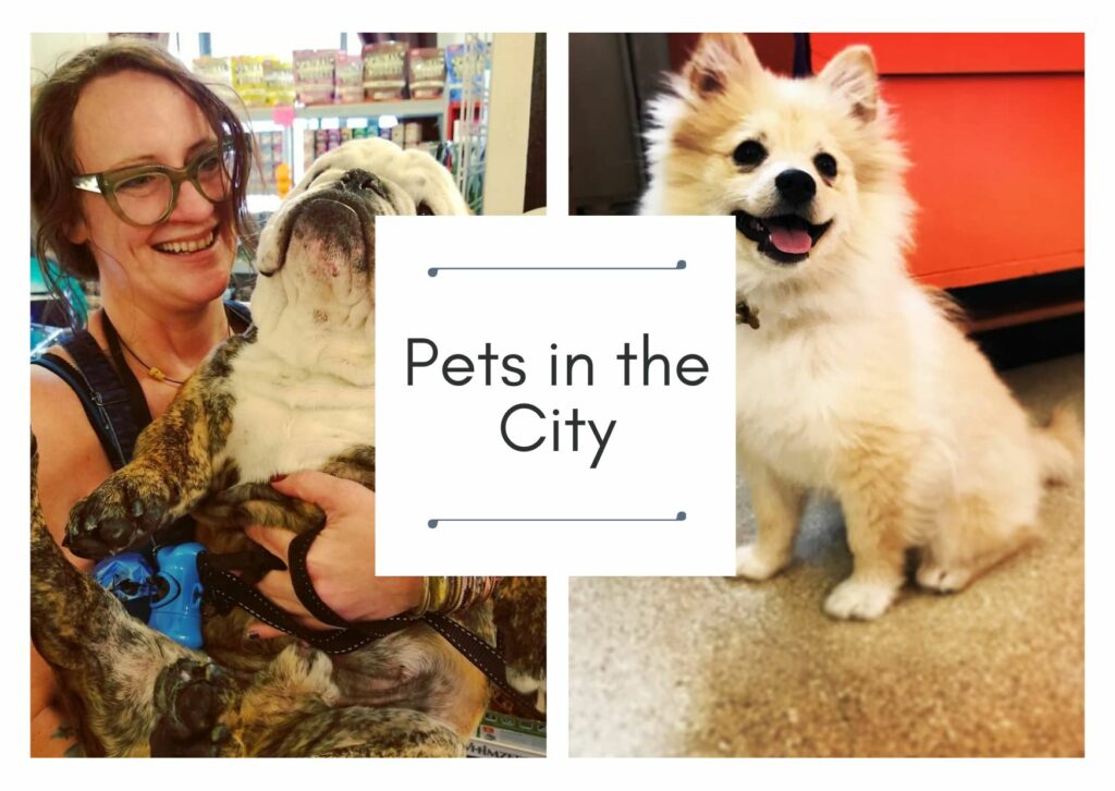 Pets in the City