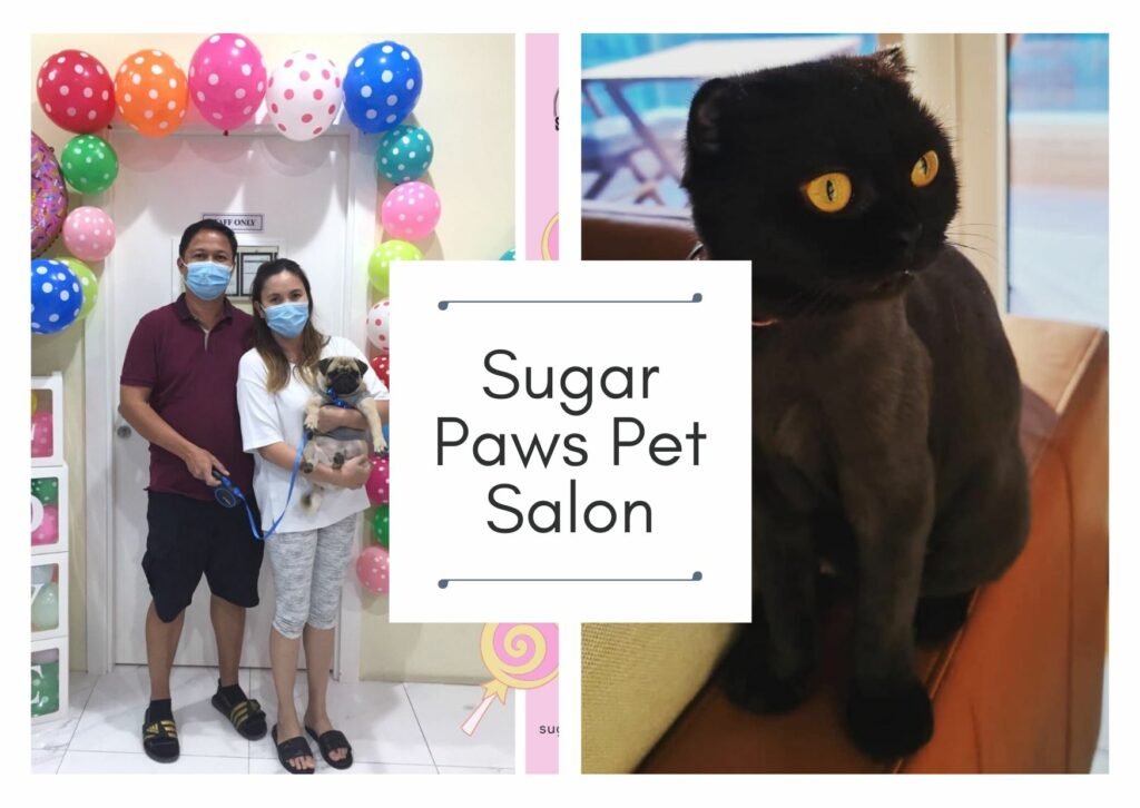 Sugar Paws Pet Salon